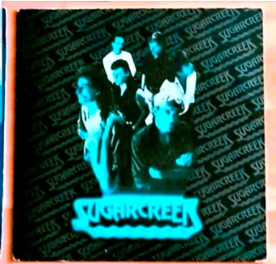 SHY Gothik Rock/Bloodrock LP/Sugarcreek Vinylschallplatten in Leipzig