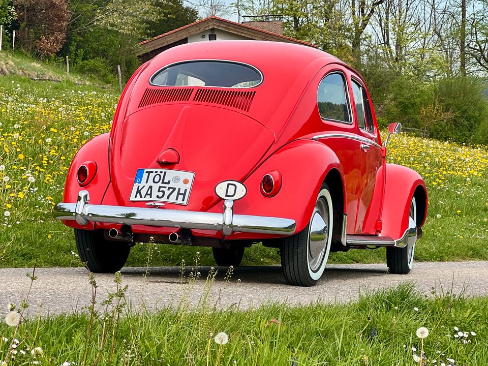 Volkswagen Käfer Export Ovali 1957, Winker, mit Papp Brief in Bad Tölz