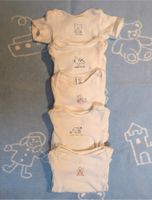 5 kurzarm Bodies Bodys Baby Club C&A Gr. 62 Dresden - Klotzsche Vorschau