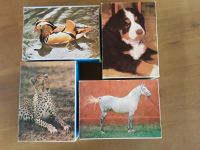 Tier-Puzzle DDR Annaberger je 120 Teile Pferd, Hund, Ente, Gepard Baden-Württemberg - Weikersheim Vorschau