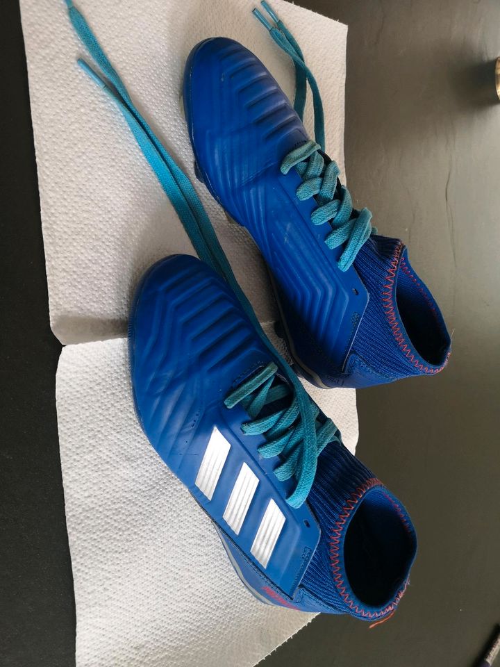 Fussball Feldschuhe Adidas gr. 36,5 in Isen