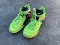 Nike Zoom LeBron NXXT - Gr. 40,5 Hessen - Lich Vorschau