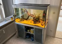 Hochwertiges Aquatlantis Aquarium Komplettset München - Pasing-Obermenzing Vorschau