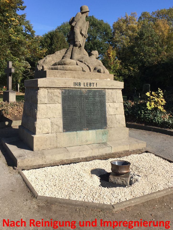 Denkmal Mauer Stein - Reinigung mit Trockeneis in Ilsede