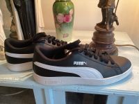 Puma Soft Foam Sneaker schwarz gr42 Turnschuhe Düsseldorf - Flingern Nord Vorschau