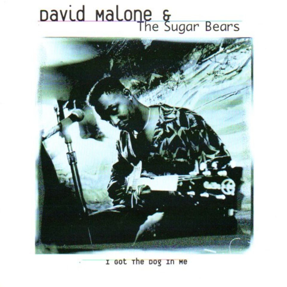 Malone David & The Sugar Bears "I got the Dog in me"  CD in Steinen