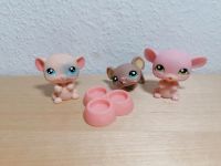 LPS Littlest Pet Shop Hamster mit Accessoire Berlin - Marienfelde Vorschau