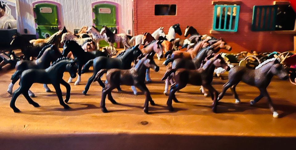 Schleich Pferde in Essen-Fulerum