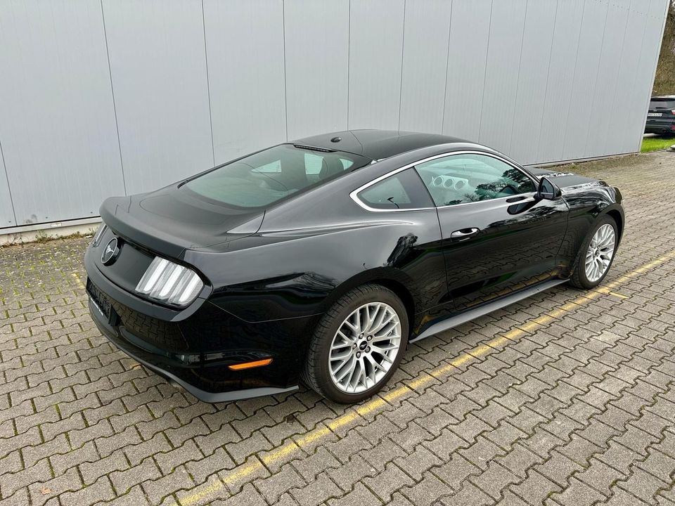 Ford Mustang 2,3 Eco Boost EUModell COC Leder Xenon in Walldürn