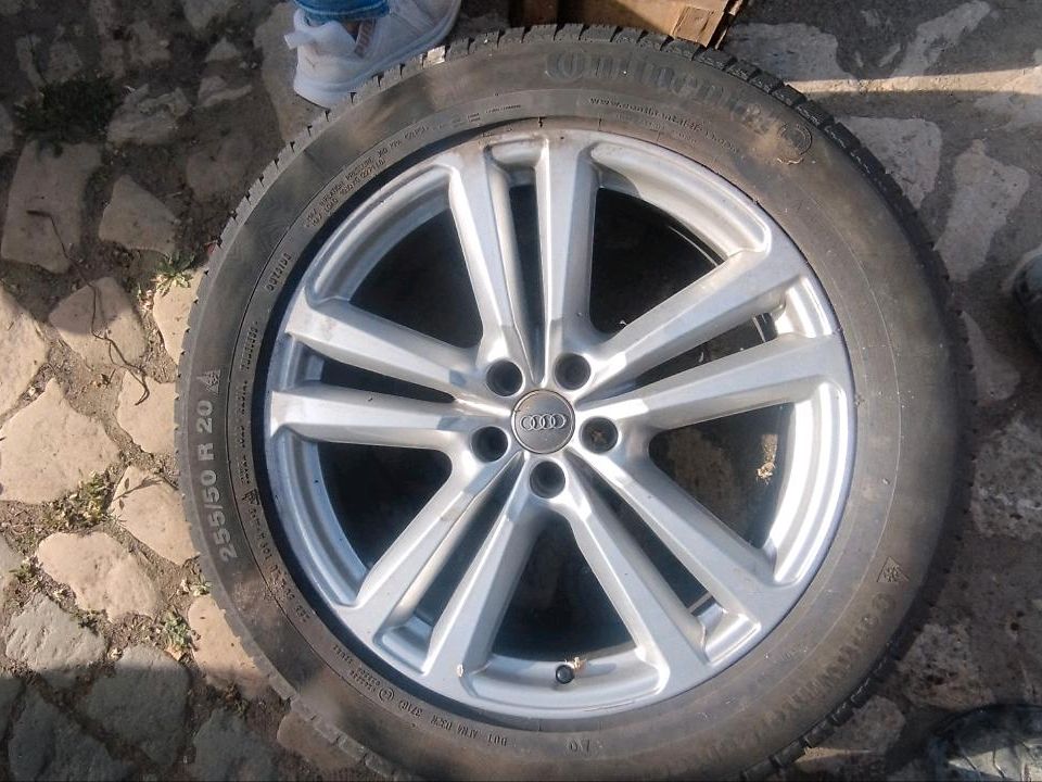 Audi s Line 20 Zoll Alufelgen 5x112 mit Allwetterreifen in Schwanebeck