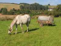 Pferdebox frei Rheinland-Pfalz - Oberneisen Vorschau