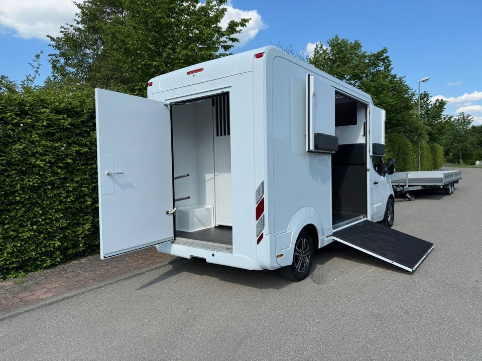 Pferdetransporter  Viehtransporter Tiertransporter LKW Nuyts 3,5t in Unterschneidheim