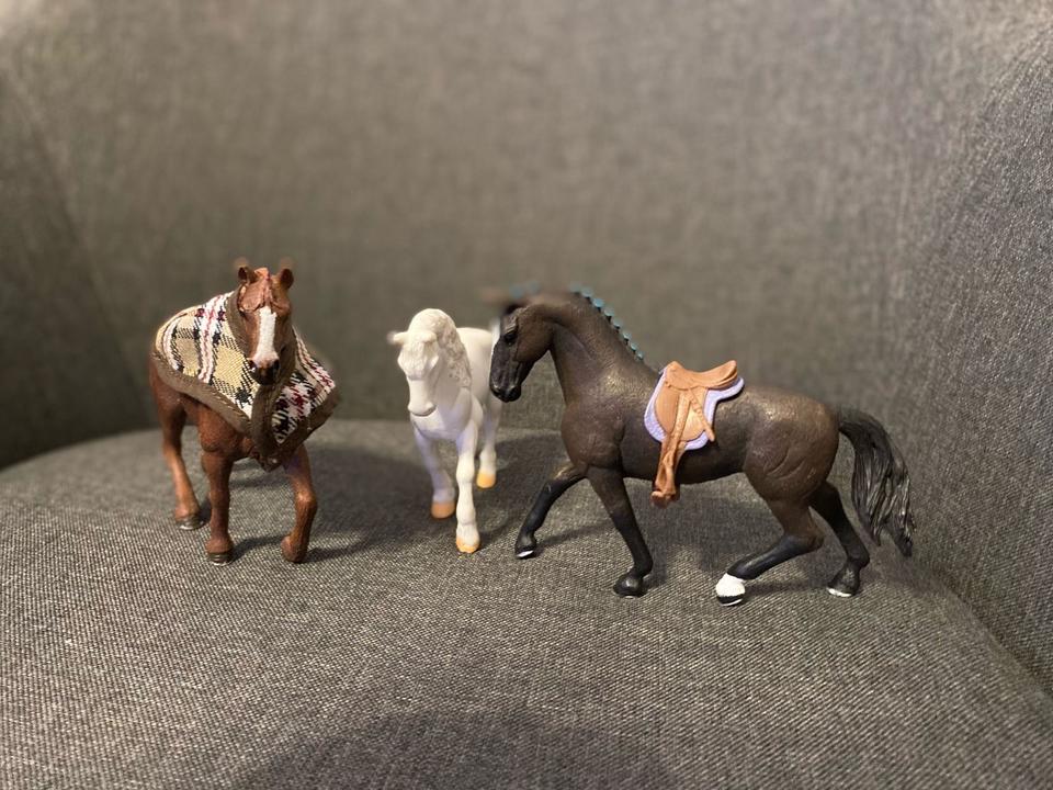 diverse Schleich Pferde + Zubehör in Lucka