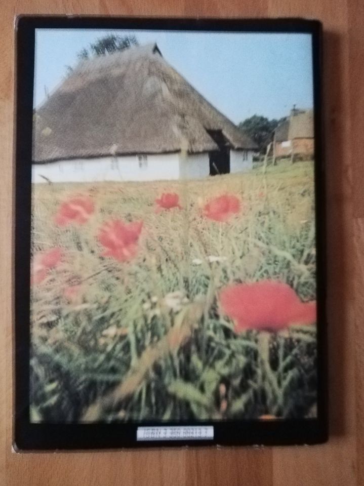 Wanderatlas Rügen von 1979 für 3,60 € inkl. Versand in Merseburg