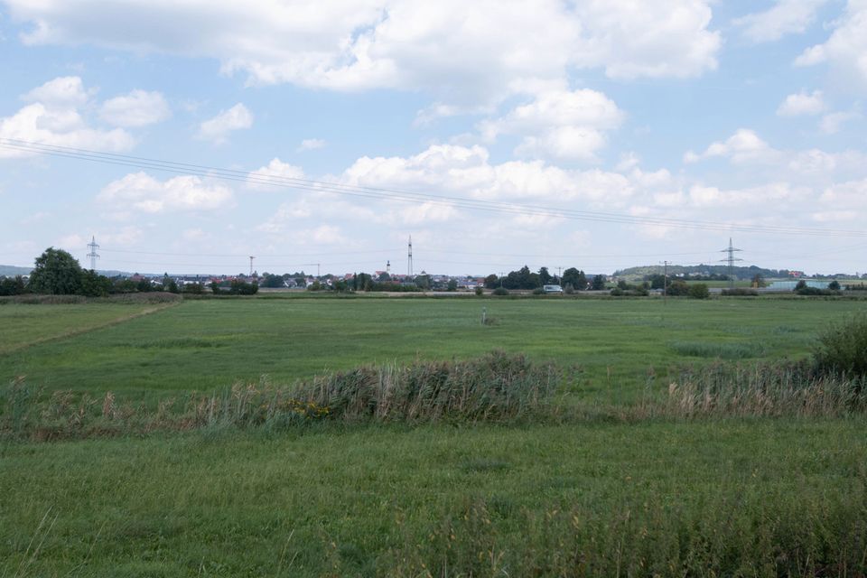 Große Wiese - Grünland als Ausgleichsfläche in Kösching