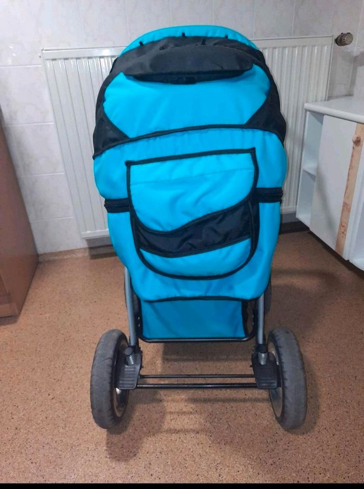 Kinderwagen und Babyschale im Set in Schmalkalden