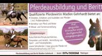 Pferdeausbildung- Problempferdeausbildung -Beritt Thüringen - Ebeleben Vorschau