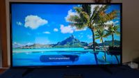 LG Smart LED TV 49 Zoll = 125cm UHD 4K - Top Zustand Niedersachsen - Schneverdingen Vorschau