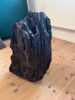 Fossiles Holz, Fossilie, Dekoration Thüringen - Kraftsdorf Vorschau