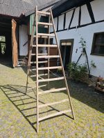 Holz Sprossenleiter 1x10 Leiter Rheinland-Pfalz - Ober-Hilbersheim Vorschau