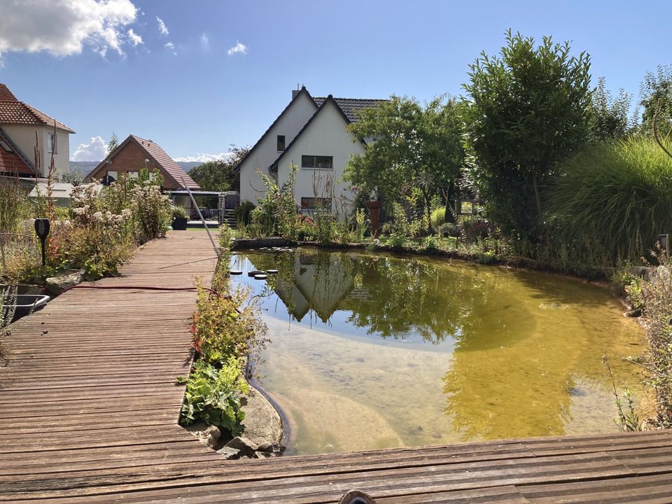 Traumhaus mit großem Garten und Schwimmteich in Auetal