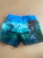 Badehose jurassic world dino h&m 92 Hessen - Friedrichsdorf Vorschau