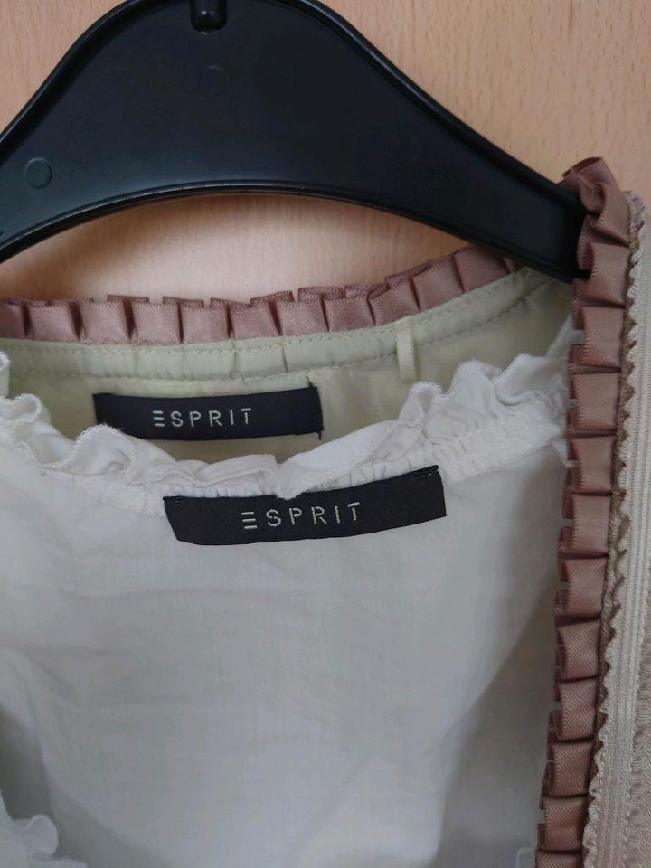 Esprit Dirndl 38, neuwertig! in Mössingen