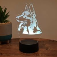 LED Lampe Schäferhund 1 Schleswig-Holstein - Schülp bei Rendsburg Vorschau