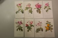 40 Schmuckkarten mit Rosen und anderen Blumen mit Kuvert Bayern - Lenggries Vorschau