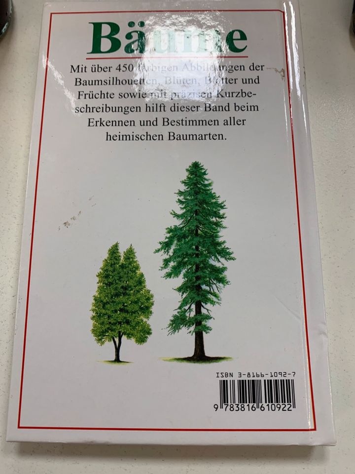 Buch Bäume - Erkennen und Bestimmen Lehrbuch Pflanzen Natur in Hanau
