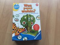 Ravensburger Spiel Niedersachsen - Scheeßel Vorschau