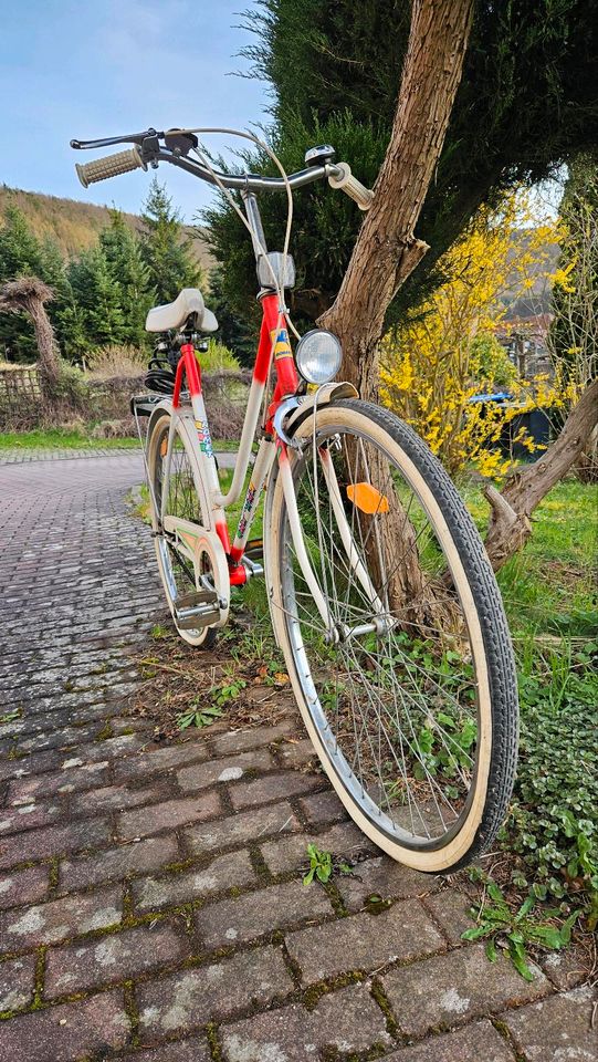 Fahrrad Damenrad Romet in Schwarzburg