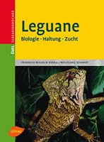 Leguane: Biologie - Haltung - Zucht (Datz Terrarienbücher) München - Pasing-Obermenzing Vorschau