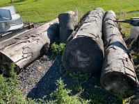 Buche Stämme Brennholz Zuschnitt Nordrhein-Westfalen - Herscheid Vorschau