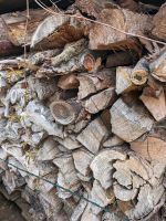 Brennholz ,Kaminholz getrocknet, einen vollen Hänger Brandenburg - Wustermark Vorschau