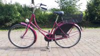 Hollandrad pink Nordrhein-Westfalen - Sendenhorst Vorschau