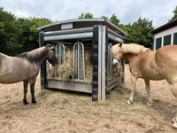 Growi® Heuraufe 2x3 m mit Automatischen Fütterungszeiten | Pferdegerechte und Wirtschaftliche Futterversorgung Niedersachsen - Stuhr Vorschau