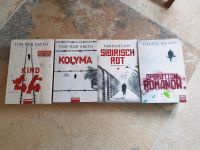Romane Russland Sibirien Tom Rob Smith und andere Bayern - Schierling Vorschau