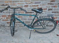 Herrenfahrrad Pegasus 28"  21-Gangschaltung Rheinland-Pfalz - Binningen Vorschau