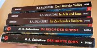 R.A. Salvatore Die Saga vom Dunkelelf Band 1 2 4 5 6 Baden-Württemberg - Buggingen Vorschau