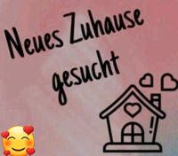 Suche 1-2 Zimmer Wohnung in Breisach Baden-Württemberg - Breisach am Rhein   Vorschau