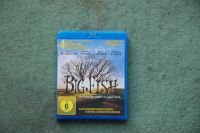 Blu-Ray: Big Fish ~ Tim Burton ~ neuwertig Rheinland-Pfalz - Bendorf Vorschau