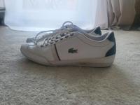 Lacoste Sneaker, Gr 41 München - Sendling Vorschau