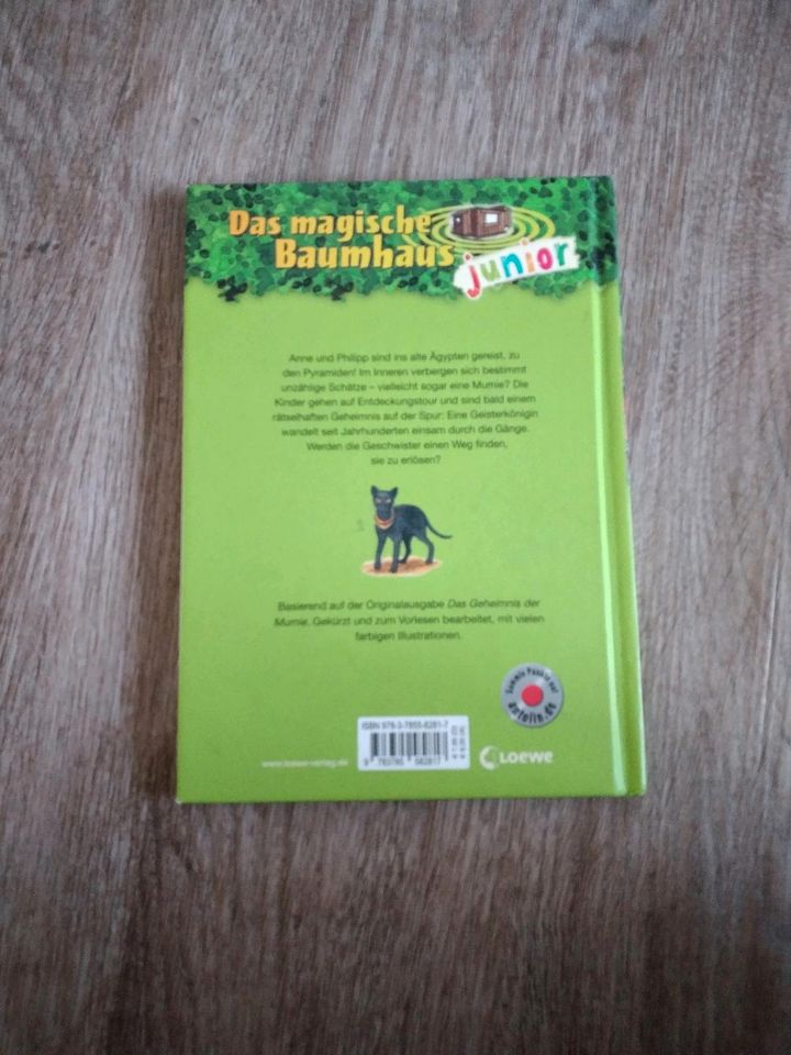 Kinderbuch das magische Baumhaus in Bad Rappenau