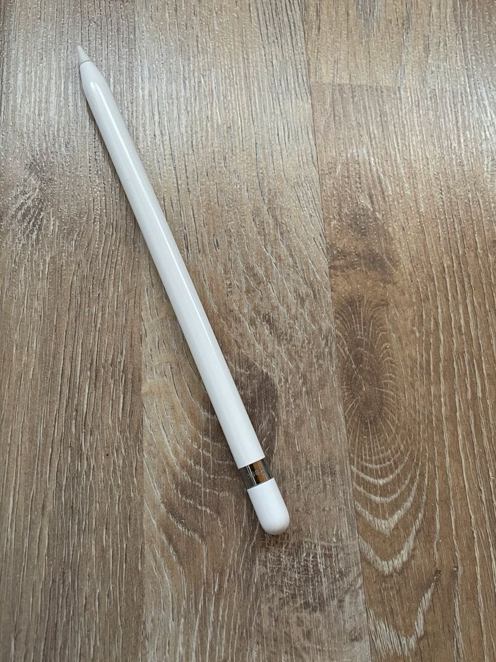 Apple IPad mit Apple Pencil in Süpplingenburg
