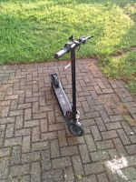 E-Scooter von blu:s Stalker xt 600 Nordrhein-Westfalen - Herne Vorschau