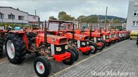 Suche MF Massey Ferguson Traktor Wuppertal - Heckinghausen Vorschau