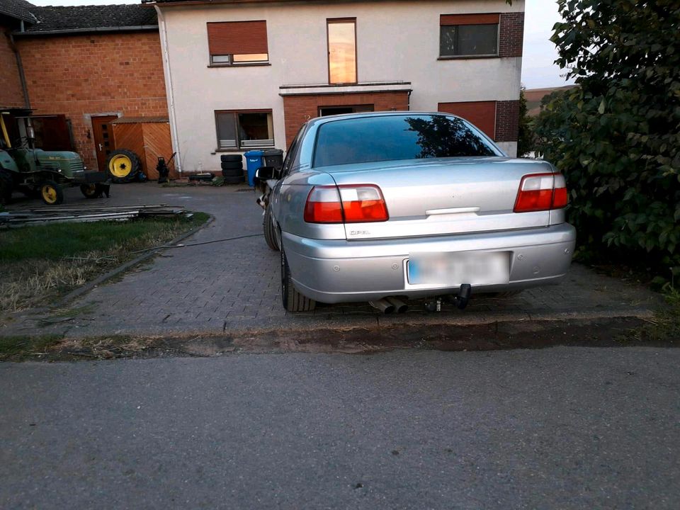 Opel Omega 2.6 V6 in Waldeck