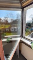 Fensterreinigung/Fensterputzer/Frühjahrsputz/Fenster putzen Duisburg - Hamborn Vorschau