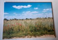 Foto auf Leinwand Fotodruck Bild NEU Bayern - Gundelsheim Vorschau